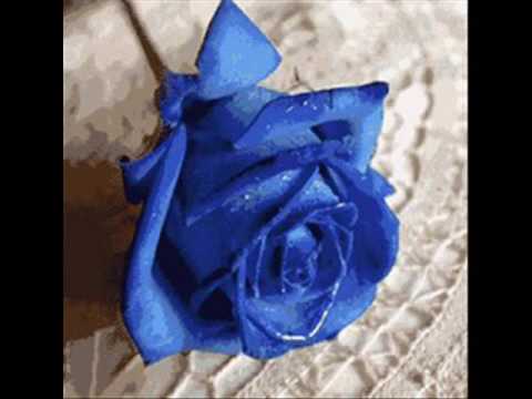 omaggio floreale ironwill