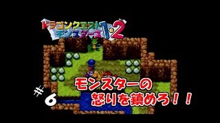 【生実況】モンスター連れて強くなれ！【ドラクエモンスターズ1・2(テリー編)】　＃6