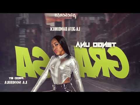 La Jefa Bambinick - Tengo Una Grasa Audio Oficial