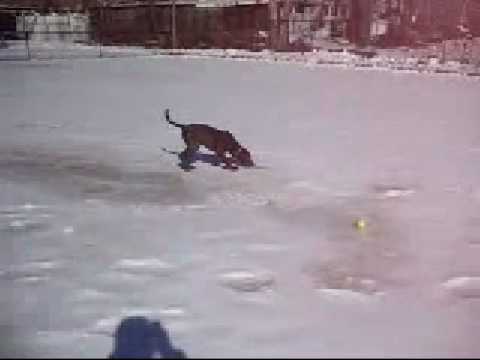 Nash's first snowstorm