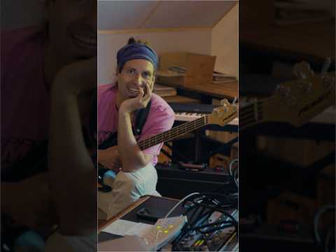 DAS bleibt?! ✨🎸 #musikerleben #tonstudio #musiker #album