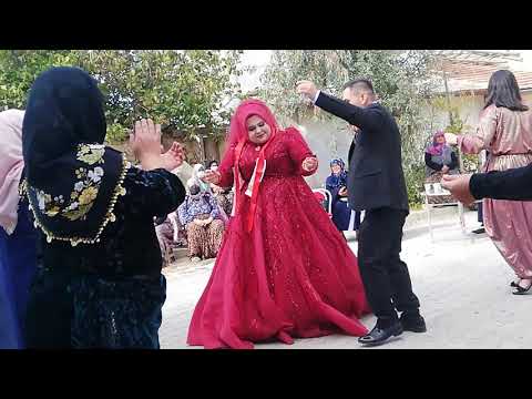 KONYANIN ılgın ilçesi Argıtanı mahallesinden Fadimana Babadostun Amasyalı Ferhat kiraz çiftinin