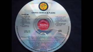 chaka demus & pliers  -  one nation under a groove