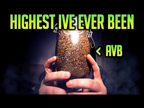 THE AVB EDIBLE STORY | StonedStoryTimes