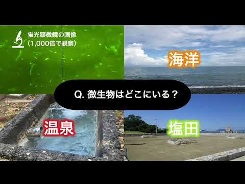 【山口大学OC2025／農学部／生物機能科学科】14 ゲノム微生物学分野