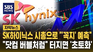 SK하이닉스 시총으로 "'꼭지' 예측".."닷컴 버블처럼" 터지면 '초토화' (자막뉴스) / SBS