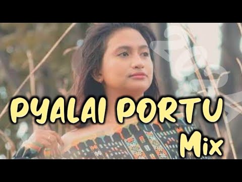🎶  joget PYALAI Portu mix 2024 | 🌴 the end rmxr