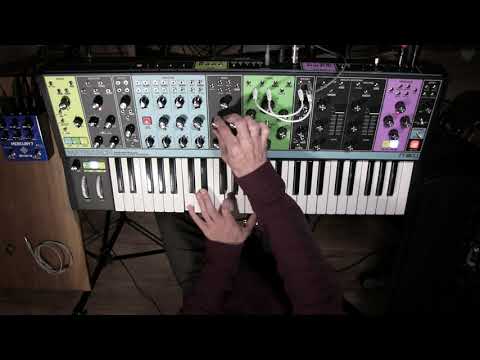 Moog Matriarch Sound demo NO TALKING high quality audio