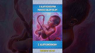 Download lagu Inilah Fase Kehidupan Manusia Dalam Islam #kehidupan #akhirat #shorts mp3