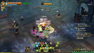 Tree of Savior DruidC3 Siauliai 2017.8.20