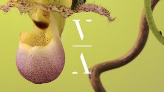 Myrne - One Sunrise At A Time video