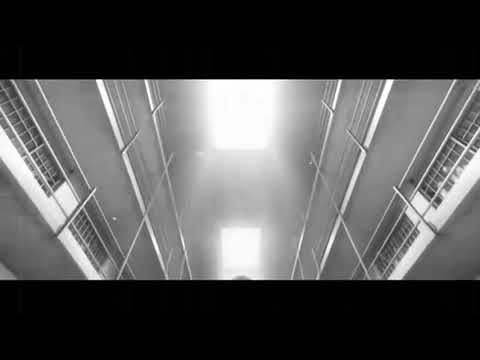 Moisani - MOISANI - Octopus [OFFICIAL VIDEO]