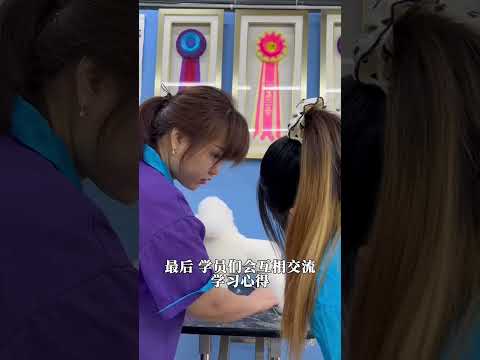 宠物美容师课程，零基础手把手实操技术 