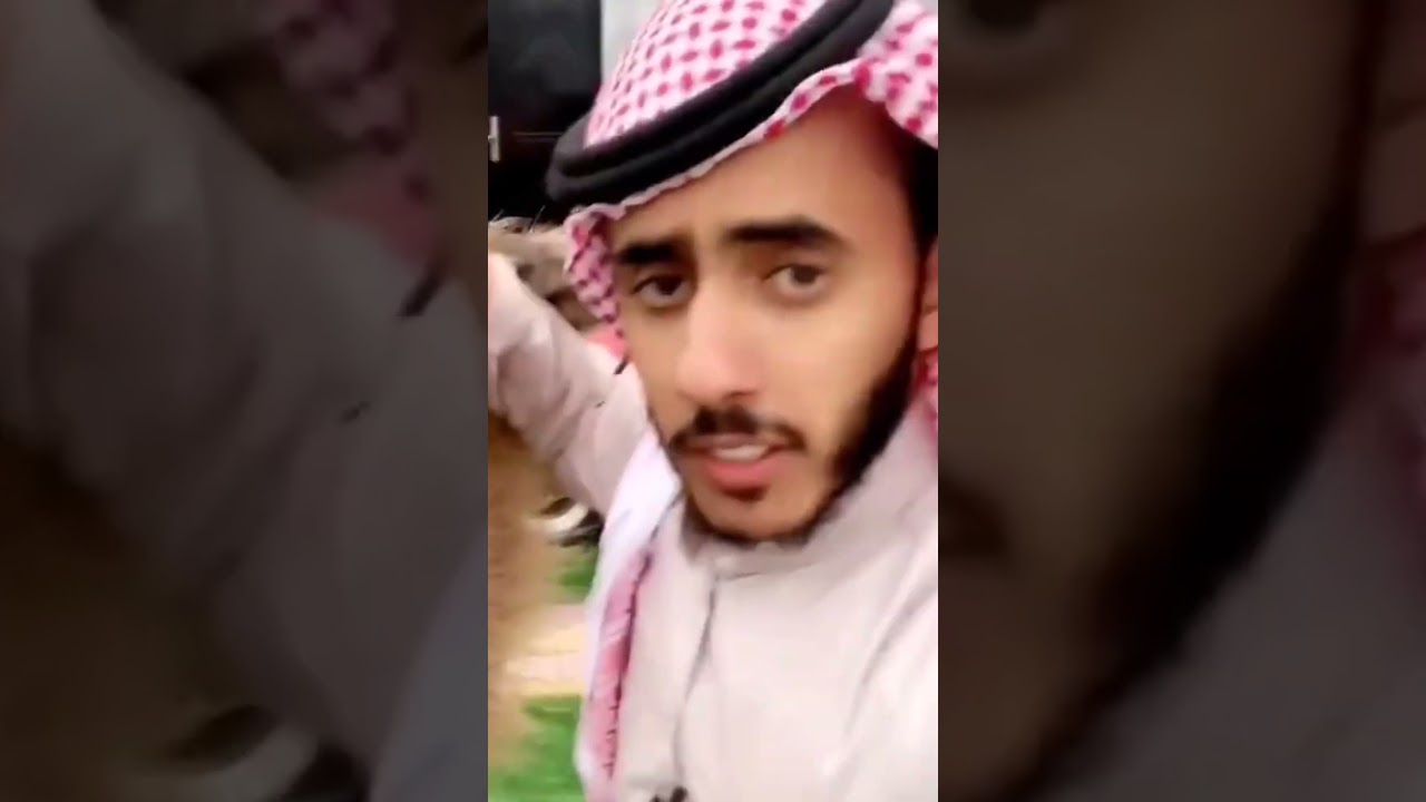 アラブの男性、クマに襲われてしまう…みなさんはお気をつけて！ #2ちゃんまとめ #animals