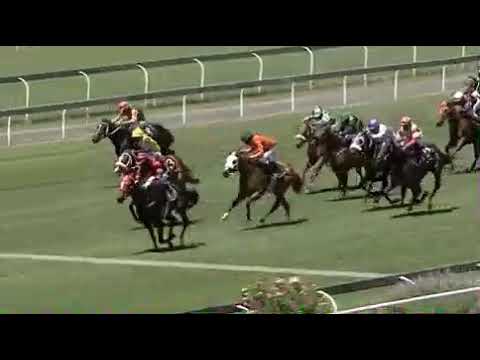 Francis Semela loses his license