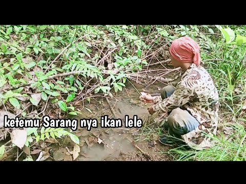 mancing ikan di tempat yang belum pernah di pancing orang