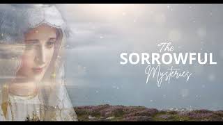 TODAY HOLY ROSARY: TUESDAY, AUGUST 04, 2026 - THE HOLY ROSARY TUESDAY