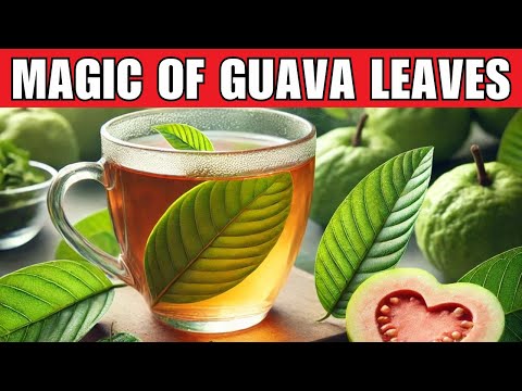 20 Amazing Benefits of Guava Leaves You Wish You Knew Sooner