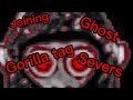 Ghost gorilla tag TikTok compilation!👻🙊