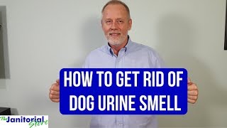 How to remove dog urine smell from a hard wood floor