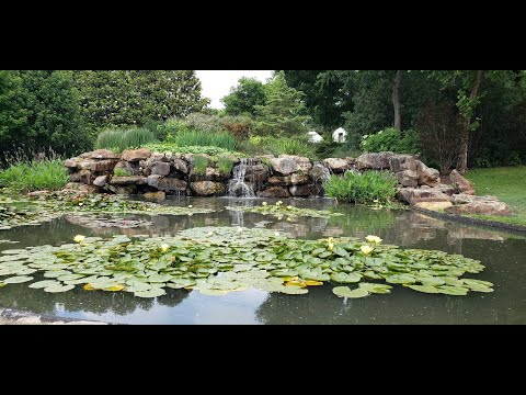 Baha'i Morning Prayer [I Have Wakened...]