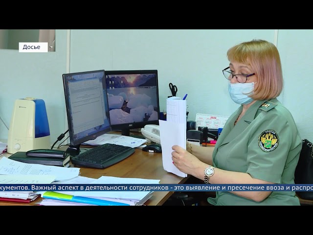 С праздником, сотрудники таможни!