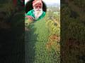 நம்மாழ்வார் வேலி பயிர்கள் Nammalvar Fence Tamil Vivasa