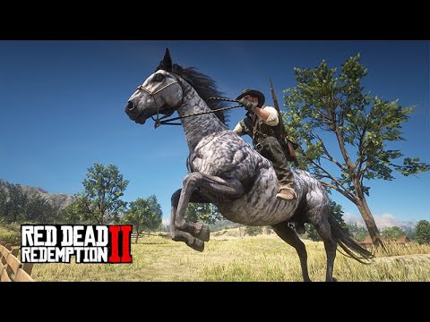 Domando o PURO-SANGUE-INGLÊS - cinzento - O COLECIONADOR DE CAVALOS - 07