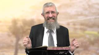 מסכת מנחות דף צט - 8 דקות של לומדות ועמקות בדרך הלימוד הישיבתית [Menachot 99]