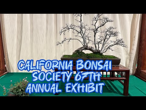 California Bonsai Society 67th Annual Exhibit