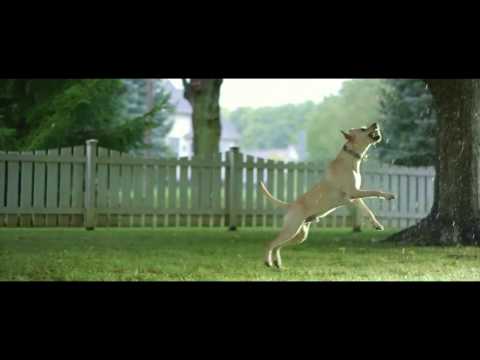 Ohio State - Antibiotic Resistance