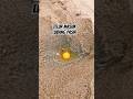 Experiment With Putting Eggs Into Holes In The Beach Sand Mamahnada BalikpapanAlready NgeShor