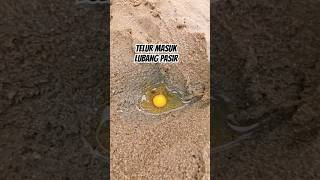 Download lagu Experiment with putting eggs into holes in the beach sand😲 #mamahnada #BalikpapanAlready #NgeShor... mp3