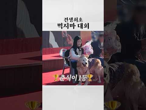 간식 참기 대회 1등해서 ⭐견생역전⭐ #반려문화페스티벌 #또딘또딘
