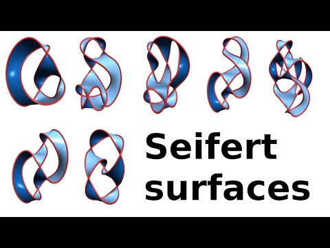 What is...a Seifert surface?