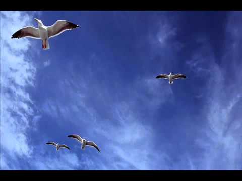 TIM MAIA e GAL COSTA    UM DIA DE DOMINGO