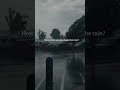 You hate the rain? How could anyone hate the rain?