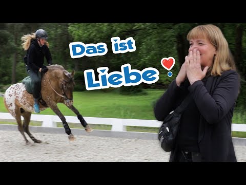 Stute ohne Schweif und Mähne ihre Liebe geschenkt - Kommt Ariane ihrem Traum ein Stückchen näher?