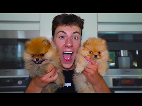 GARFIELD WELCOME TO THE MONSTER GANG!