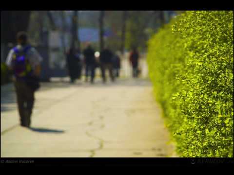 KERUCOV .ro: Excursie foto cu Orasul.ro: Aviatiei - Gara Baneasa