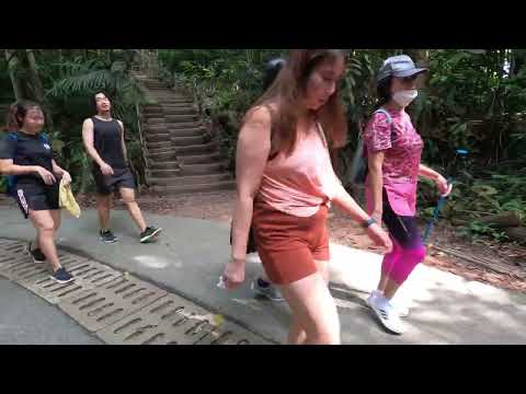 Bukit Timah Nature Reserve – 19022022