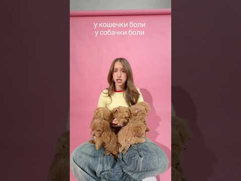 ставь лайк если любишь собачек 🐶