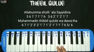 Download lagu SHOLAWAT (Thibbil Qulub) - Not pianika mp3