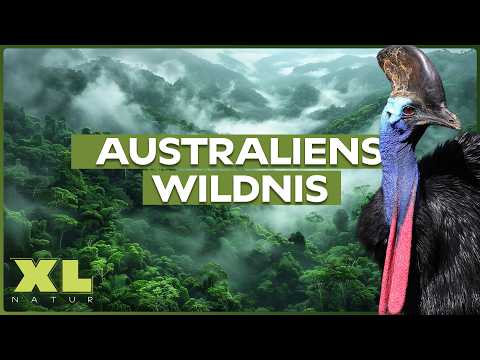 Ein Land, drei Welten: Dschungel, Wüste und Berge – Australiens extreme Natur