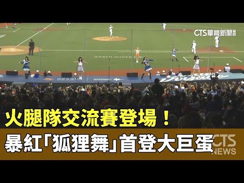 火腿隊交流賽登場！　暴紅「狐狸舞」首登大巨蛋