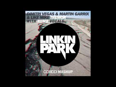 Martin Garrix ft Linkin Park Tremor (Dj Pic mashup)