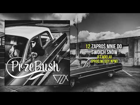 DZX - Zaproś mnie do swoich snów ft. Adela (prod. Młody NPW)