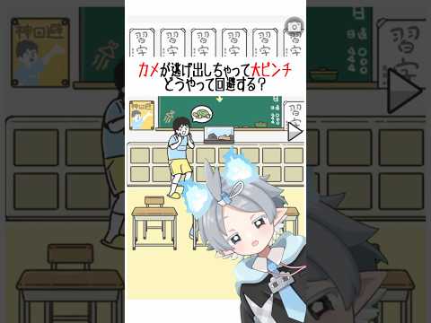 Video cover