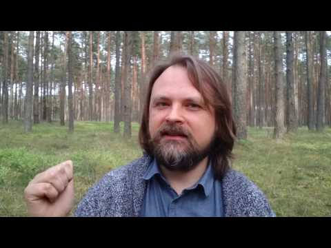 Świadomość jest jak drzewo [Spisek Pisarzy]