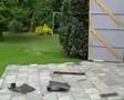 Chainsaw Attacks Pony